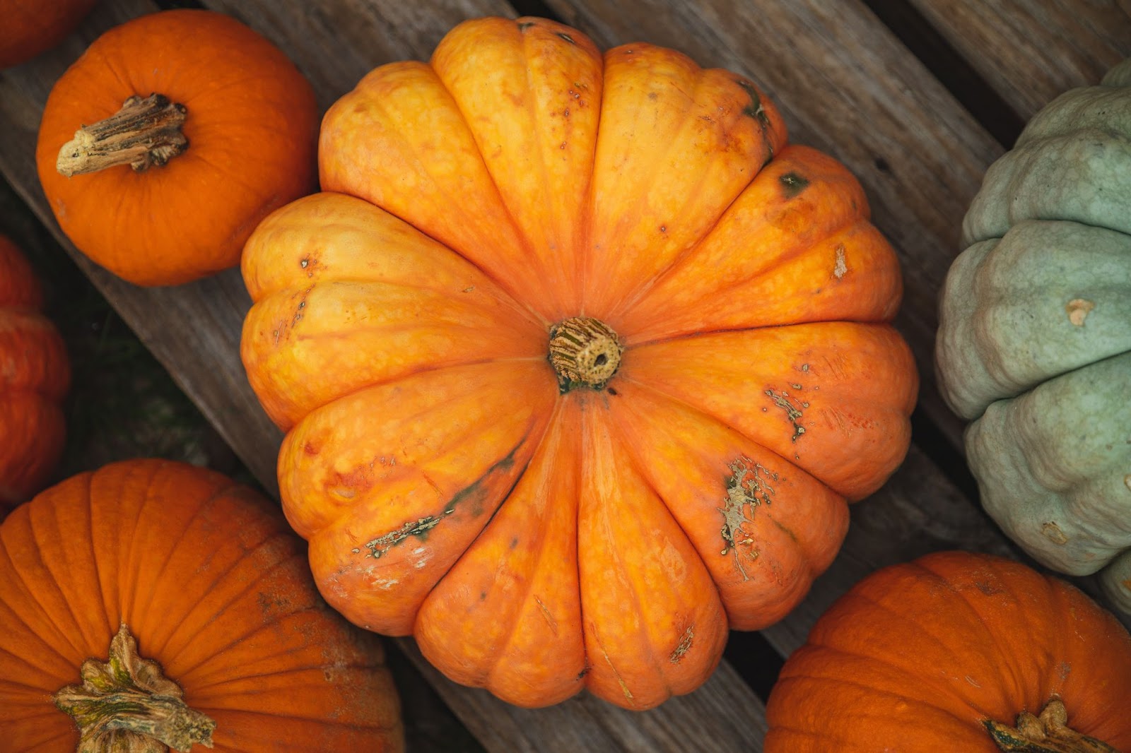 How Seasonal Eating Can Boost Your Overall Health