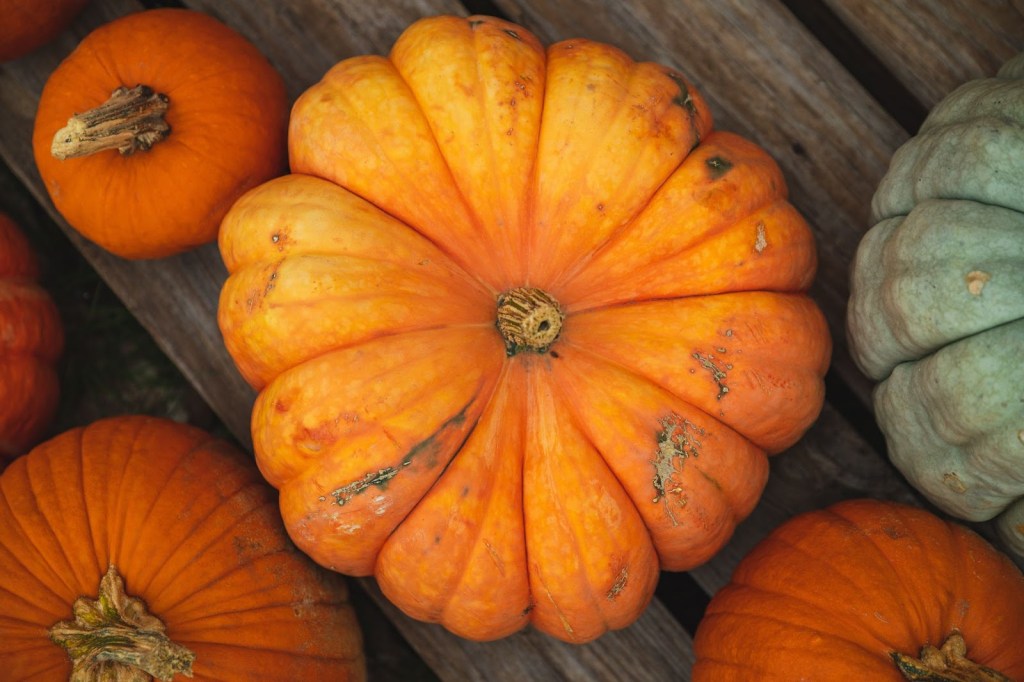 How Seasonal Eating Can Boost Your Overall&nbsp;Health