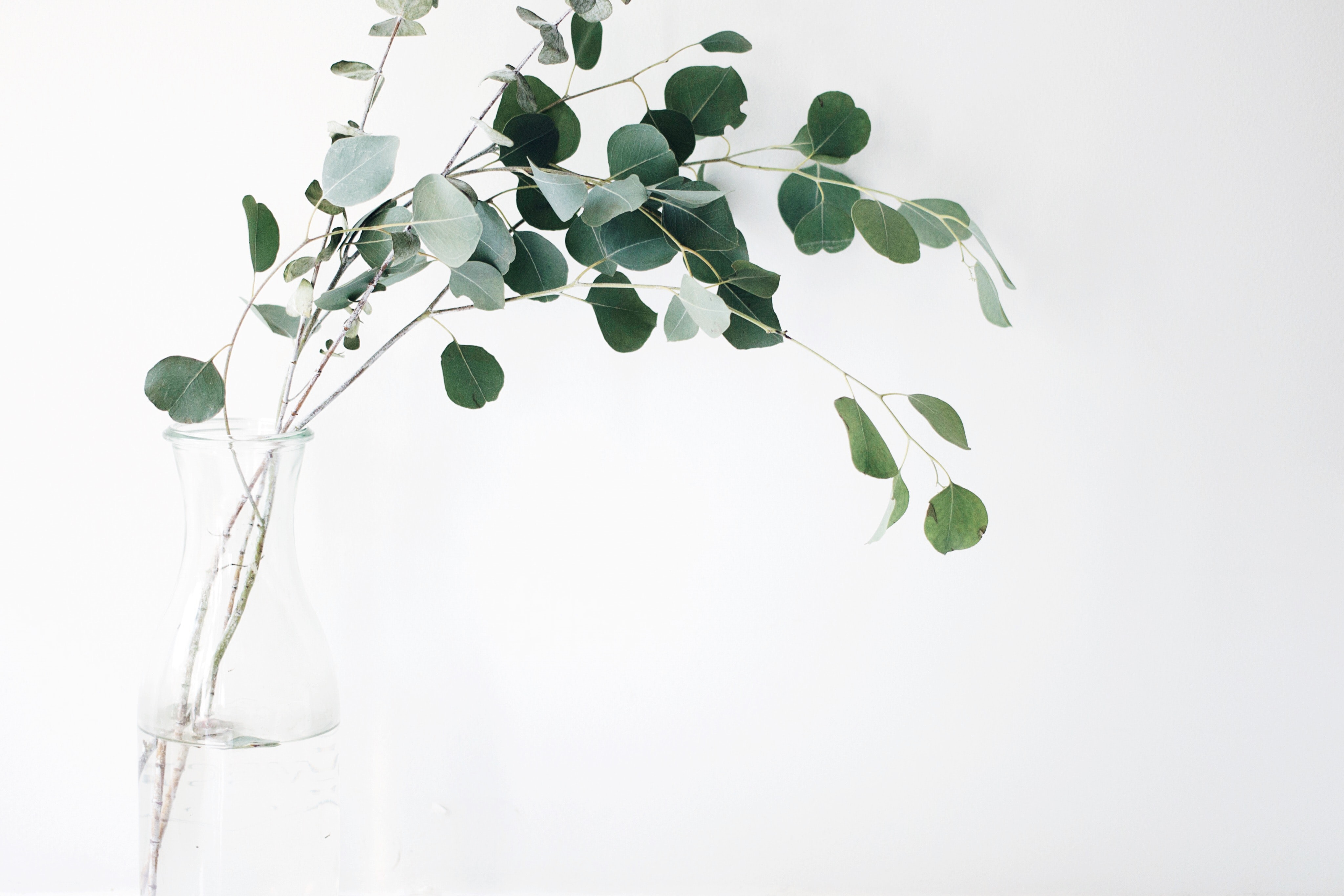 5 Questions To Ask Yourself When Choosing An Online Health Coach
