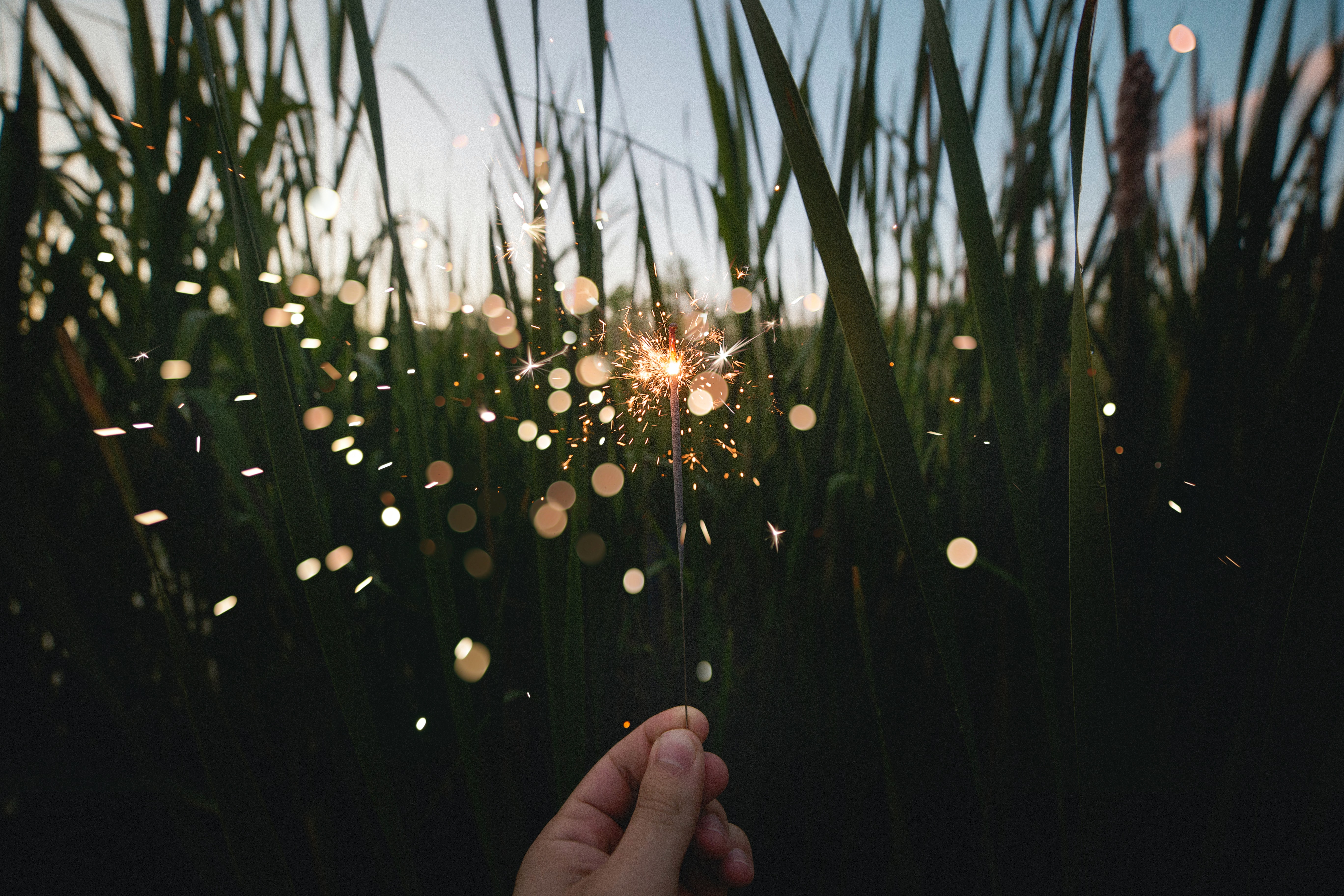 7 Ways to Start Manifesting the Life of Your Dreams