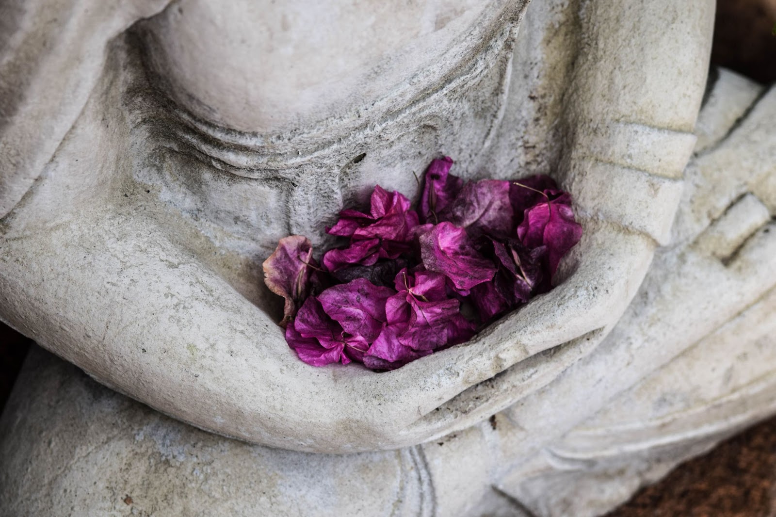 Why Being Healthy Starts With Mindfulness