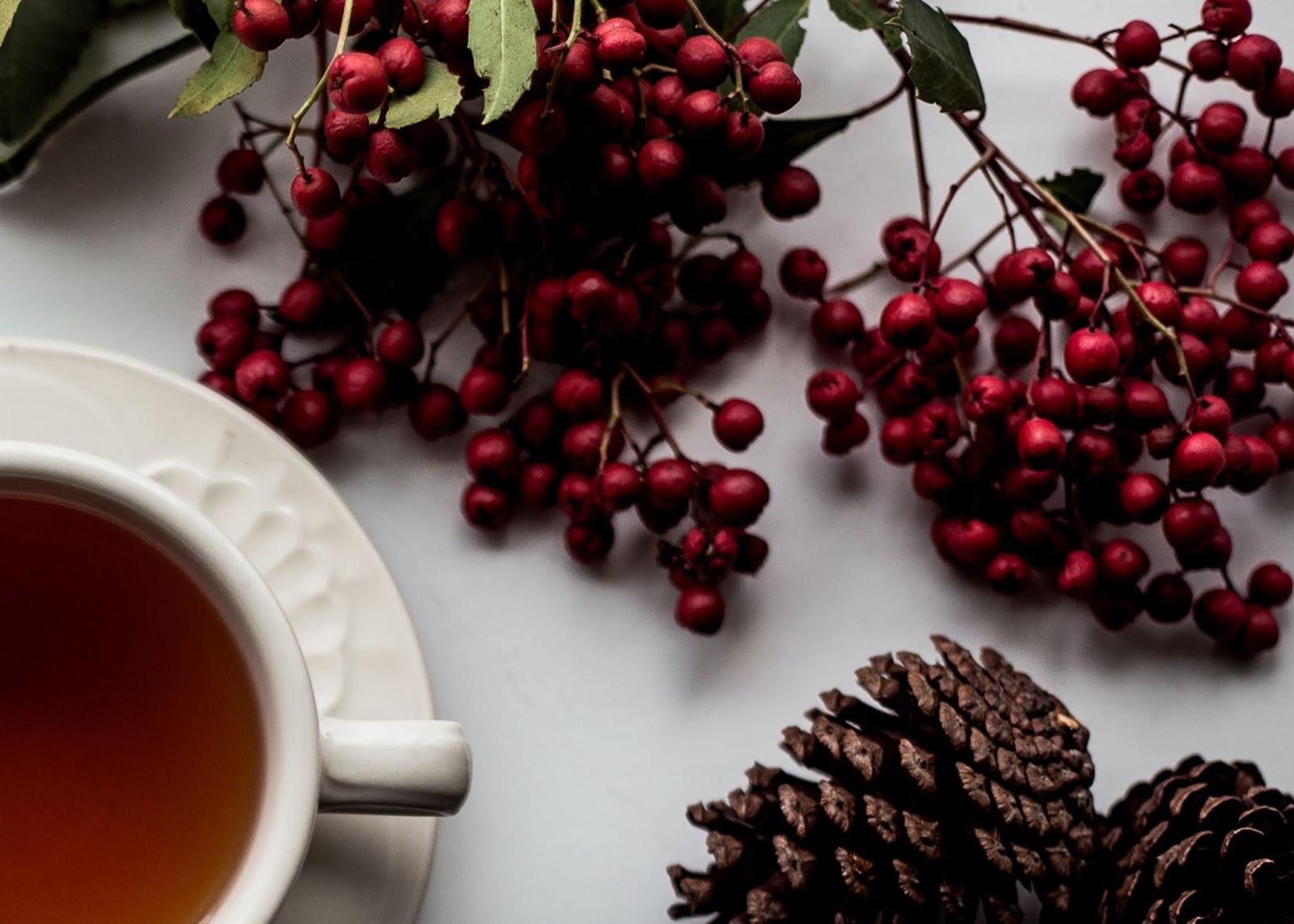 Sipology: Your New Secret Weapon to Conquering Sweet Cravings